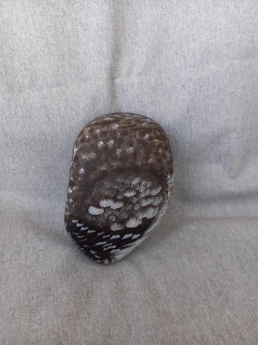 Kivipöllö - Image 2