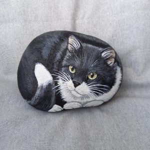 Mustavalkoinen kivikissa