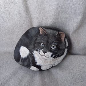 Mustavalkoinen kivikissa