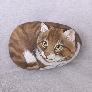 Ruskeaharmaa kivikissa