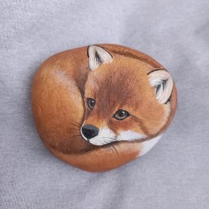 Kivieläin ketunpoikanen