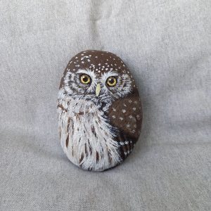 Kivipöllö, varpuspöllö