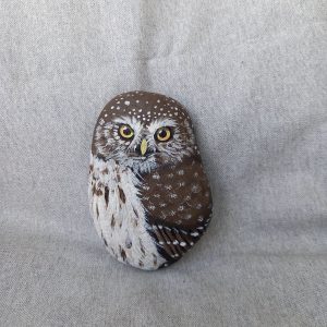 Kivipöllö, varpuspöllö