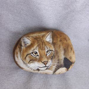 Kivieläin, ilves
