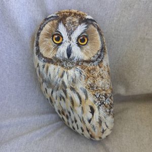 Kivipöllö, sarvipöllö