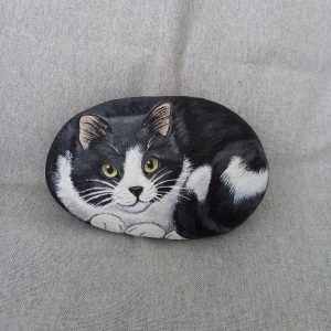 Mustavalkoinen kivikissa