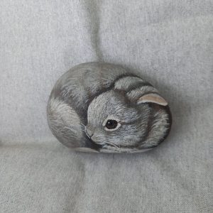 Kivieläin, harmaa kani