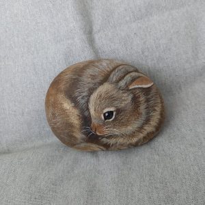 Kivieläin, ruskea kani