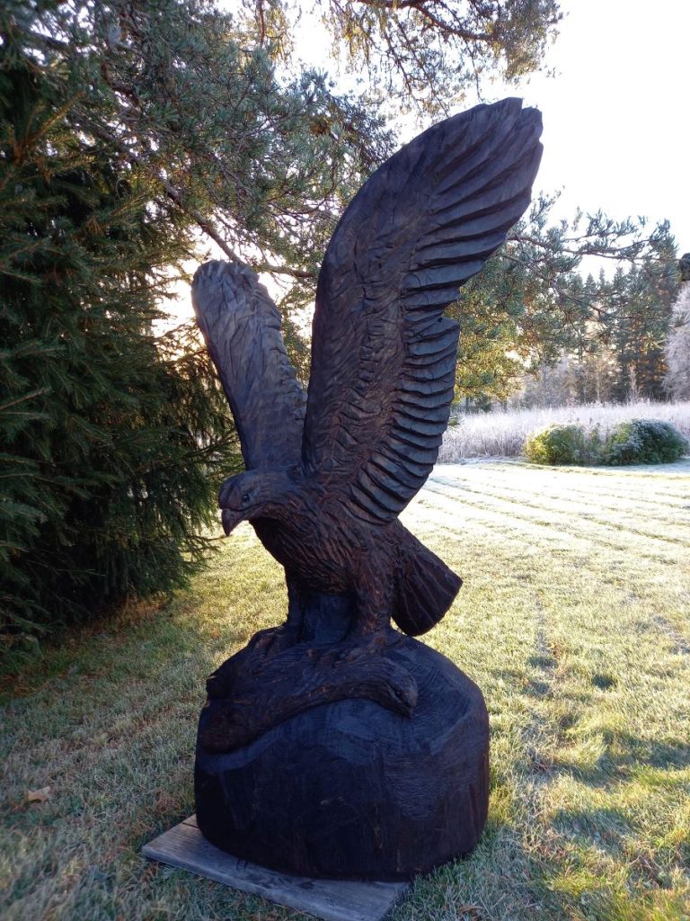 Iso kotka koppelosaaliin päällä.