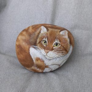 Vaaleanruskea kivikissa