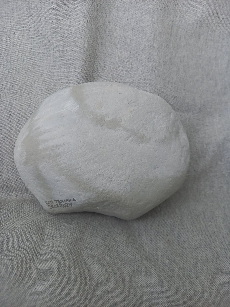 Valkoinen kivikissa - Image 2