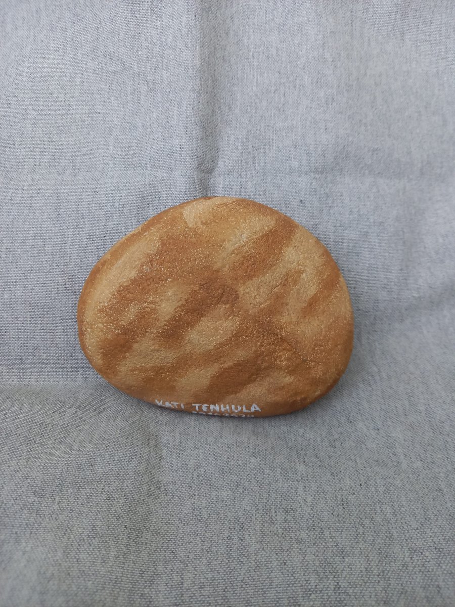 Oranssi kivikissa - Image 3